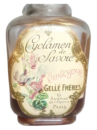 Cyclamen de Savoie by Gelle Freres