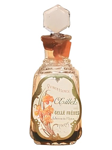 Oeillet by Gelle Freres