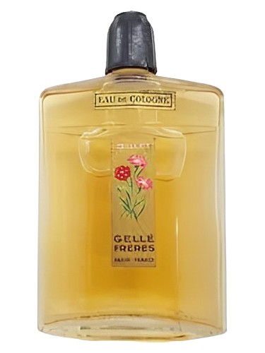 Oeillet Cologne by Gelle Freres