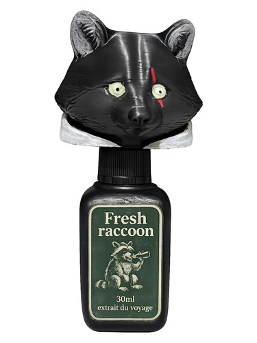 Fresh Racoon