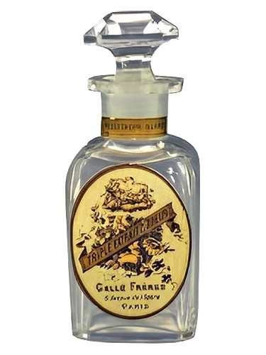 Héliotrope Blanc by Gelle Freres