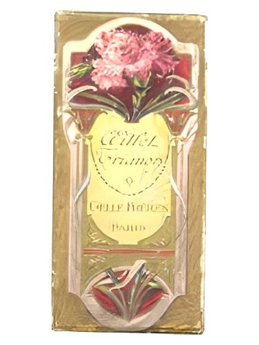 Oeillet Trianon by Gelle Freres