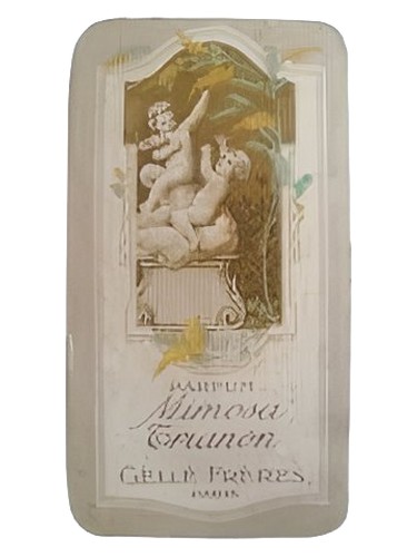 Mimosa Trianon by Gelle Freres