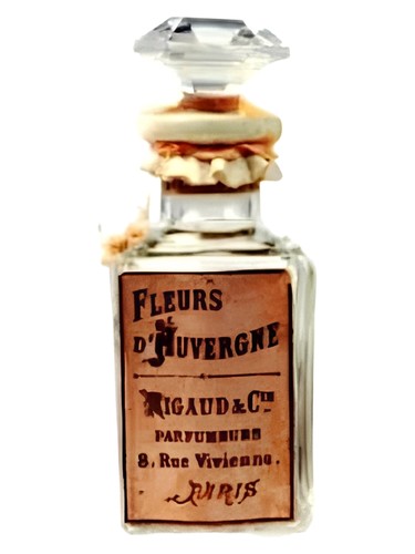 Fleurs d'Auvergne by Rigaud