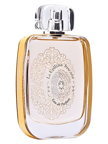 Rocca della Signoria by La Collina Toscana