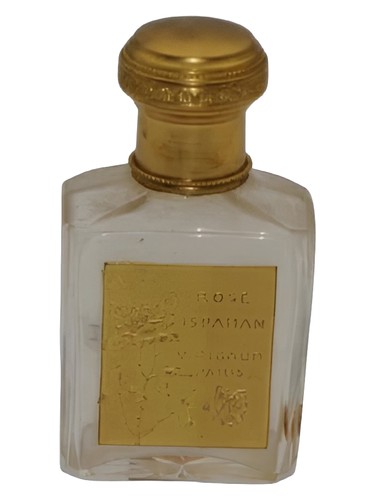 Rose Ispahan by Rigaud