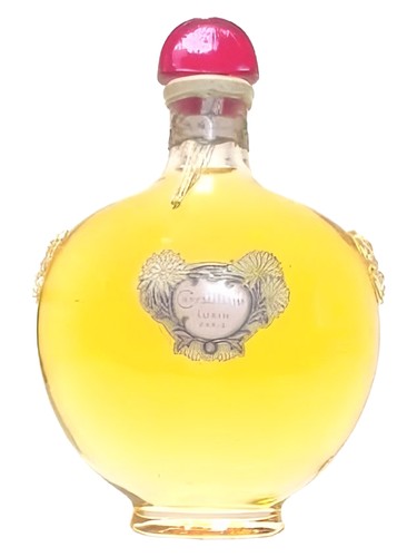 Chrysanthème by Lubin