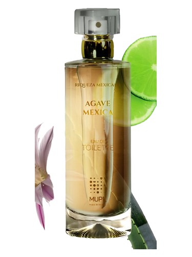 Agave Mexica by MUPE