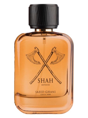 Shah Intense by Saeed Ghani