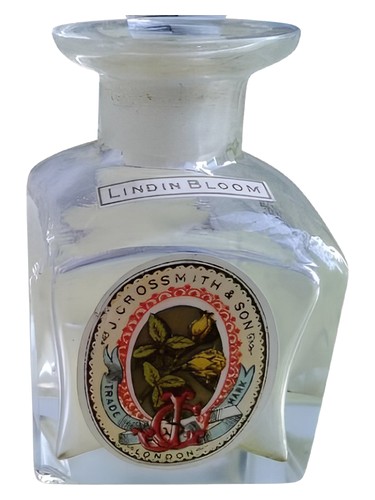 Lindin Bloom by Grossmith