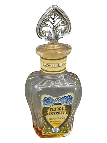 White Lilac by Grossmith