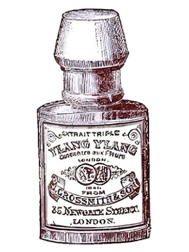 Ylang Ylang by Grossmith