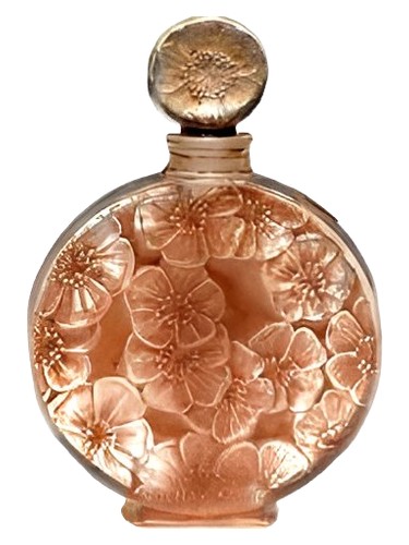 Chypre Ambre by Volnay