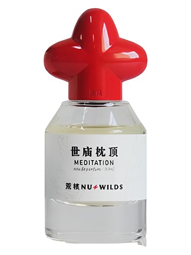 Meditation by Nu Wilds