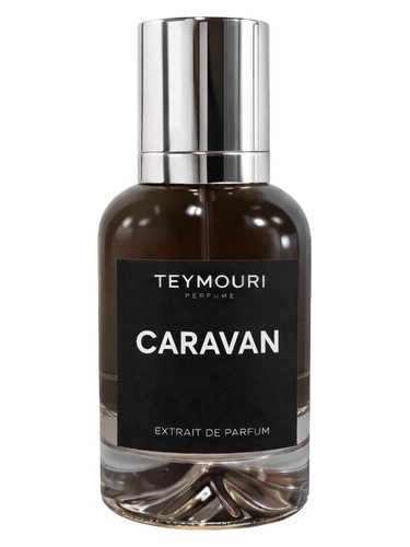 Caravan by Teymouri