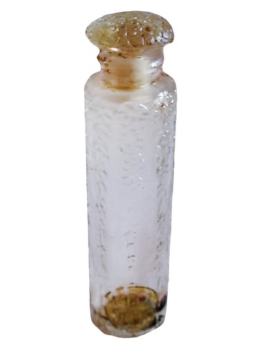 Ambre by Parfums Forvil