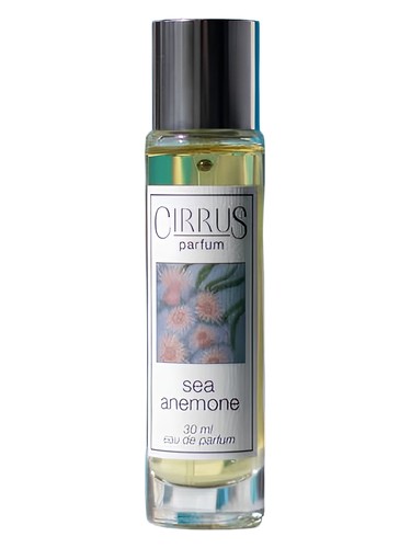Sea Anemone by Cirrus Parfum