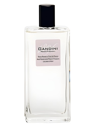 Red Rose and Peach Blossom by Gandini 1896