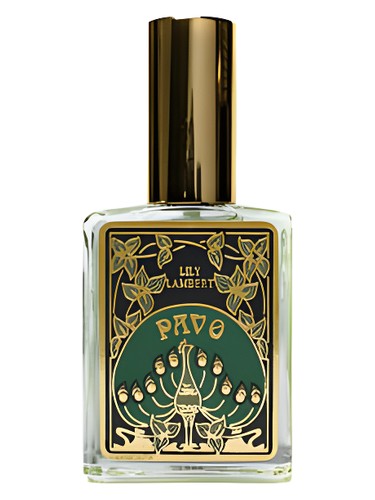 Pavo by Lily Lambert