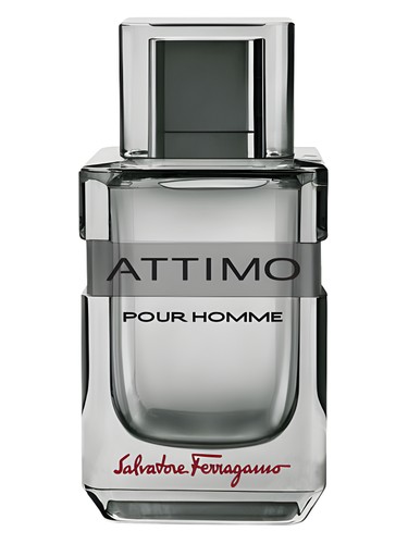 Attimo Pour Homme by Salvatore Ferragamo