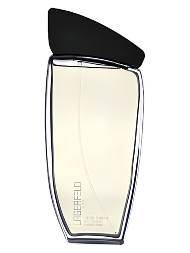 Lagerfeld Men by Karl Lagerfeld