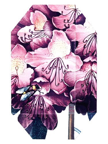 Print Collection Stella 01 (2011) by Stella McCartney