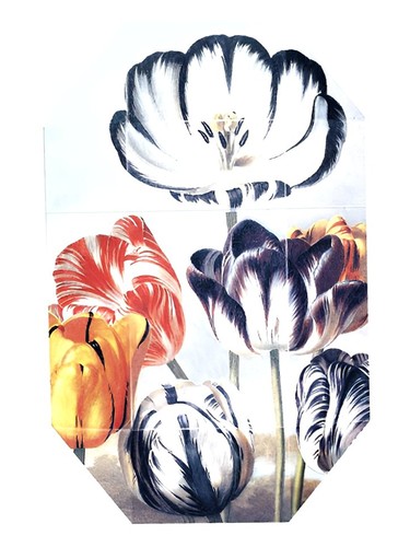 Print Collection Stella 02 (2011) by Stella McCartney