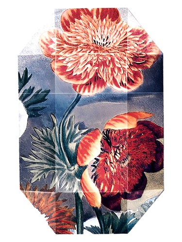 Print Collection Stella 03 (2011) by Stella McCartney