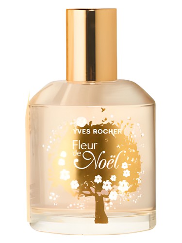 Fleur de Noel 2011