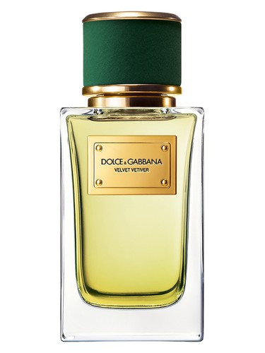 Velvet Vetiver Dolce&Gabbana perfume