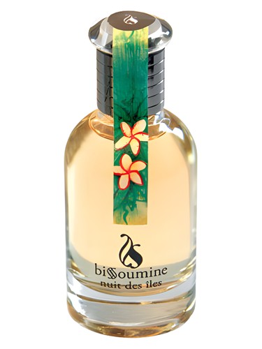 Nuit des Iles by Bissoumine