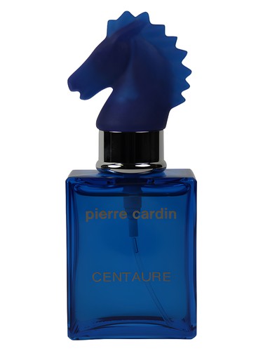 Centaure Cuir Casaque by Pierre Cardin