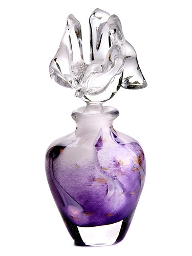 Air Aquarius by CnR Create