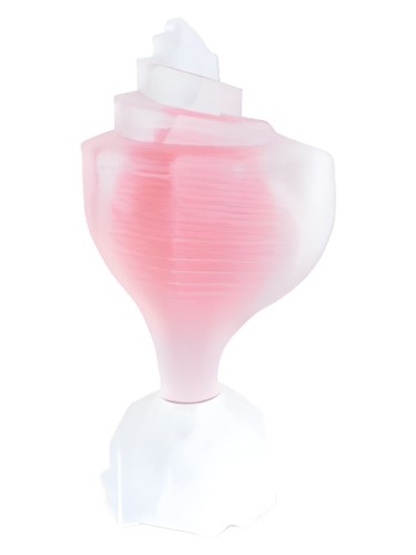 Pink Conch by Seajewels