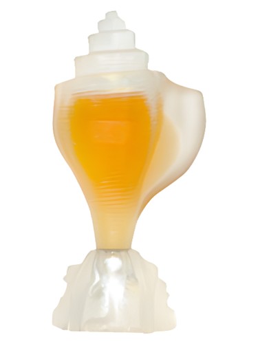 Conch Los Cabos by Seajewels