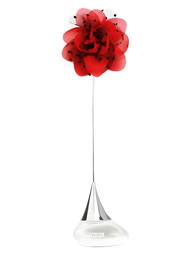 Air de Fio Passion Pois by Pupa