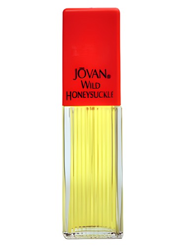 Wild Honeysuckle by Jovan