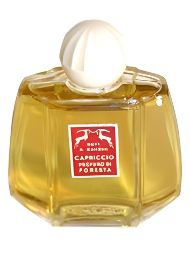 Capriccio by Gandini 1896