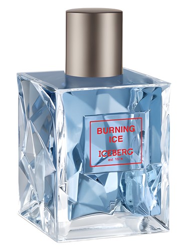 Burning Ice by Iceberg