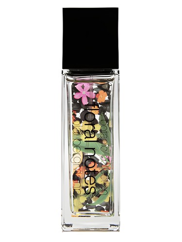 Japanese Quince & Wild Osmanthus by Nicolai Bergmann