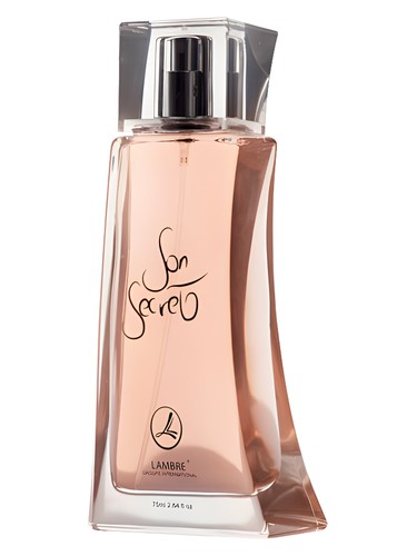Son Secret by Lambre