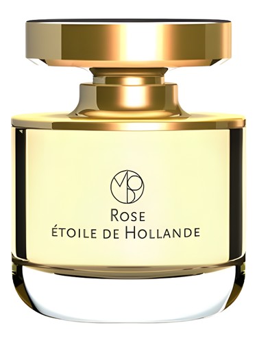 Rose Etoile de Hollande by Mona di Orio