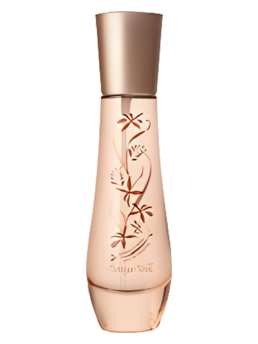 Vaniglia Nera by Bottega Verde