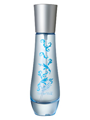 Muschio di BV by Bottega Verde