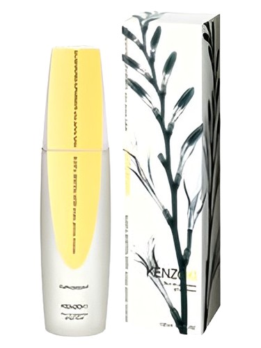 KenzoKi Ginger Flower (Euphoric)