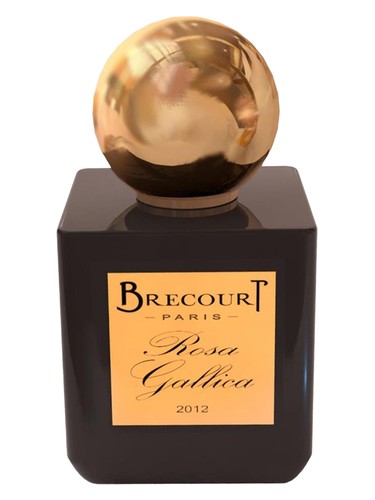 Rosa Gallica by Brecourt