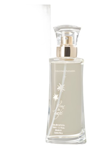 Mountain Blossom by Fleur de Cafe