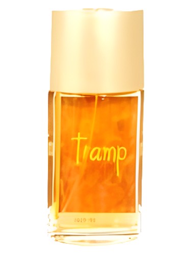 Tramp by Mayfair