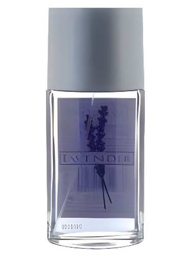 Lavender by Mayfair