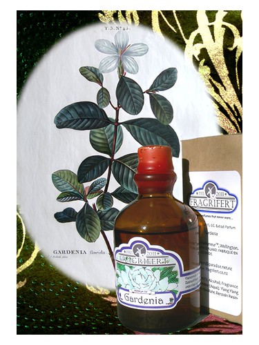 Gardenia by Fragrifert Parfumeur